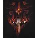 Diablo III Burning