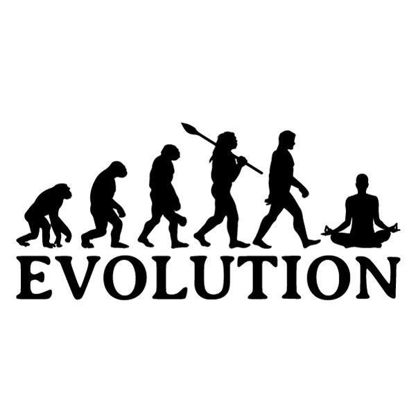 EVOLUTION - JOGA