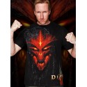 Diablo III Special Edition