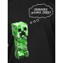 Minecraft Creepers Gonna Creep Youth