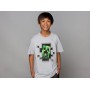 Minecraft Creeper Inside Youth