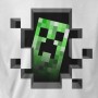 Minecraft Creeper Inside Youth