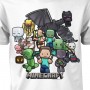 Minecraft Party Youth